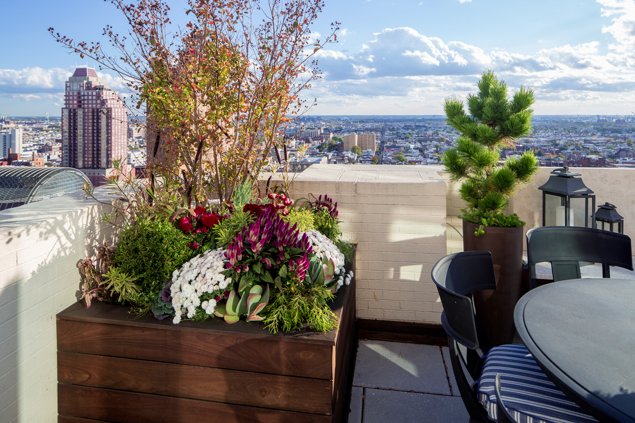 1601LocustPH3Deck5-